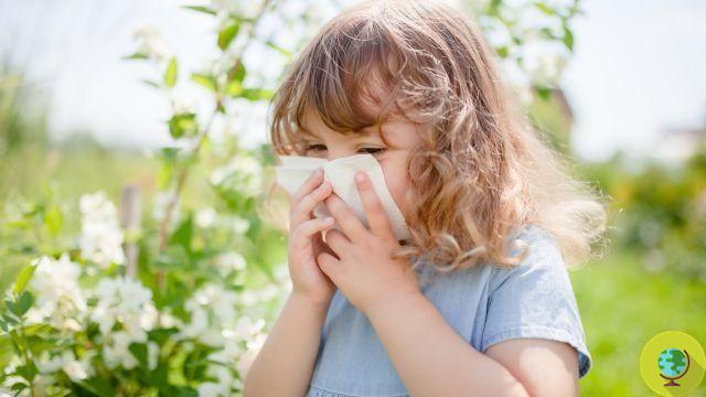 Spring allergies: early this year, start prevention right away