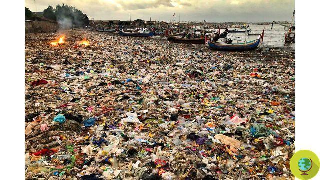 Ces photos déchirantes de la pollution plastique dans le monde frappent durement