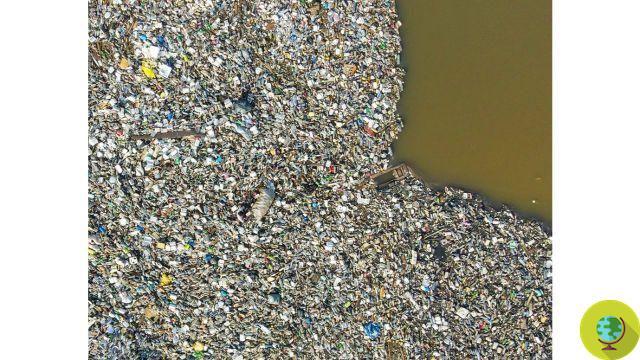 Estas fotos desgarradoras de la contaminación plástica en todo el mundo golpean fuerte
