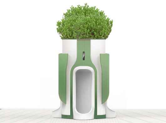 Baños públicos verdes: el urinario que “recicla” el pis para regar las plantas