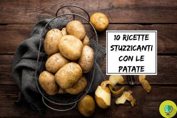 10 recettes appétissantes avec des pommes de terre