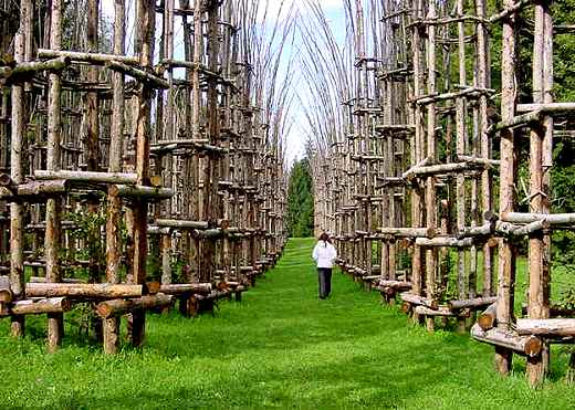 Vegetal Cathedral: the first green sanctuary in Bergamo to celebrate art, nature and biodiversity