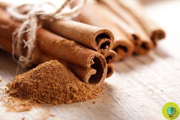 Beware of cinnamon and coumarin supplements. The Anses alert