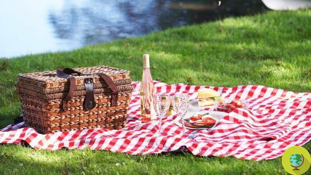10 tricks for a perfect picnic