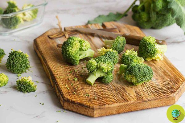 Como se livrar do cheiro de brócolis? Os truques mais eficazes para usar ao cozinhá-los