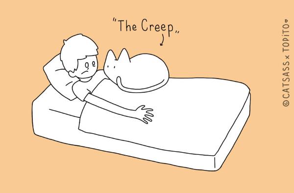 10 sleeping positions that only cat owners can understand