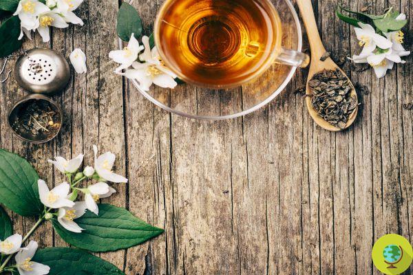 How to prepare a green tea detox tea perfect for Christmas