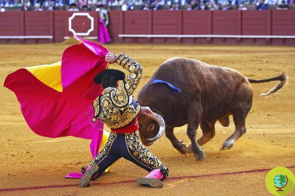 Cidade do México quer (finalmente) abolir touradas