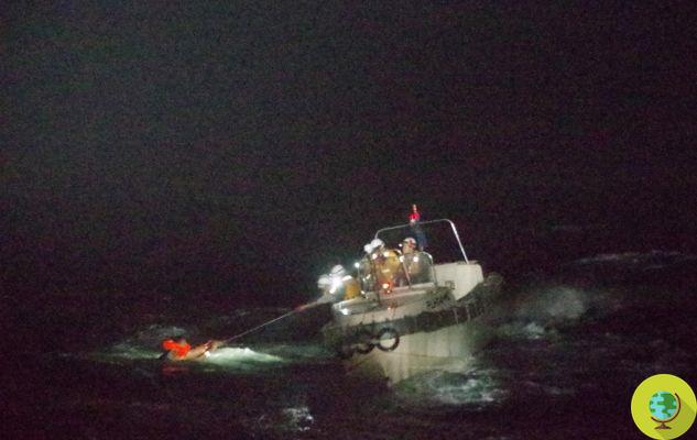 Barco con 6 vacas a bordo zozobra y se hunde en Japón por el tifón Maysak: 42 marineros muertos