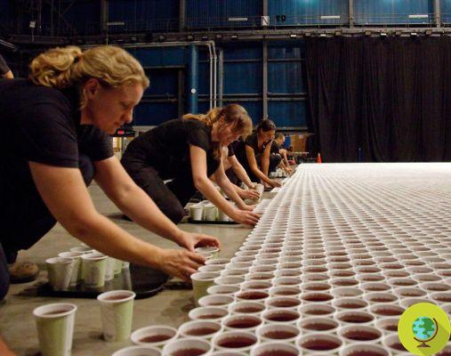 El mosaico gigante hecho con 66 vasos compostables y 15.000 litros de agua de lluvia (vídeo)
