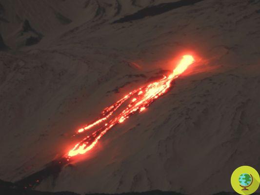 Etna está de vuelta en erupción con un nuevo respiradero de baja altitud. Aeropuerto de Catania cerrado