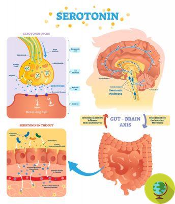 Serotonin: If you have any of these 10 signs you may have low levels of the happiness hormone