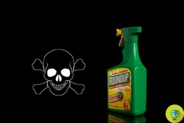 La exposición al glifosato y estos a 2 insecticidas aumenta el riesgo de cáncer. nuevo estudio