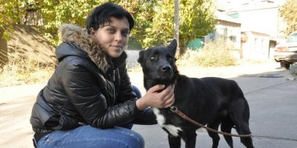 Perro recorre 300 km para volver con la mujer que lo salvó: la dulce historia de Shavi y Nina