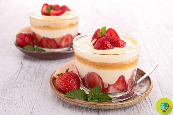 Spoon desserts: the 10 most delicious recipes