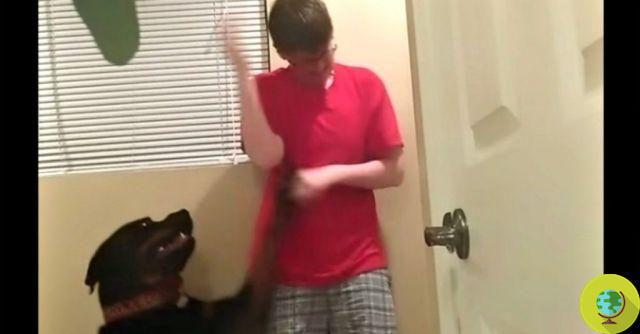 Syndrome d'Asperger : le chien qui aide son maître en cas de crise (VIDEO)