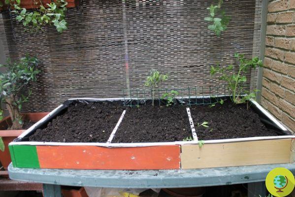 Potagers sur le balcon : comment construire une table de jardin à faire soi-même