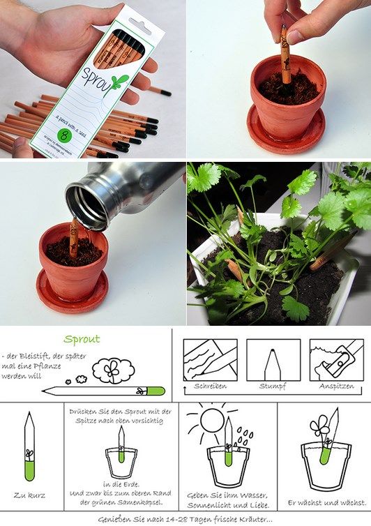 Sprout: for sale the pencil that you plant