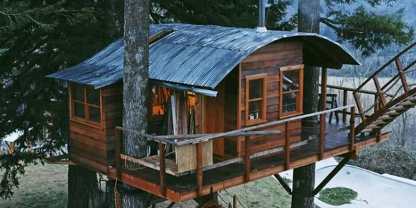 Treehouse: the self-built tree house complete with a skatepark