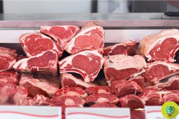 Nueve semanas de aprender a comer menos carne: el desafío de la Universidad de Oxford