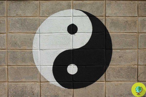 Yin y Yang: historia, origen y significado del símbolo chino que todo el mundo debería conocer