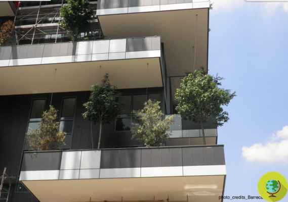 Forêt verticale de Milan : le gratte-ciel aux arbres presque prêt