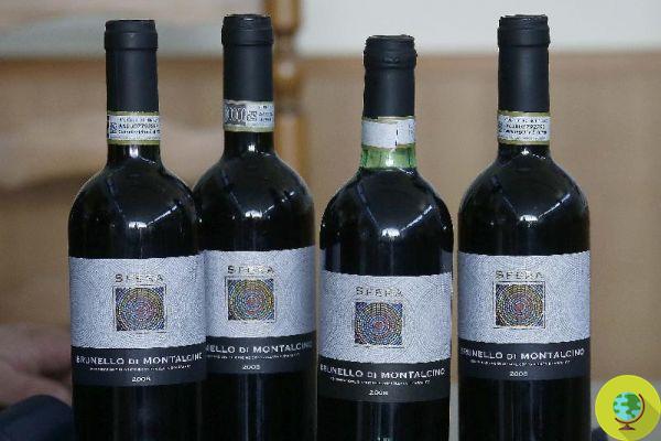 Brunello di Montalcino: la sensacional estafa del vino