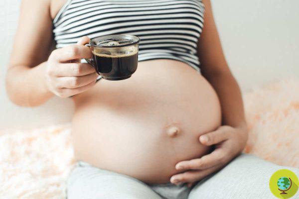 Pregnant women should eliminate caffeine altogether. I study