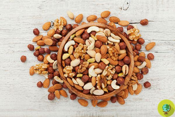 Eating a handful of nuts and dried fruit every day, the secret to not gaining weight