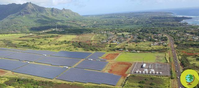 Fotovoltaica: o Havaí produz mais energia solar do que as redes elétricas podem suportar