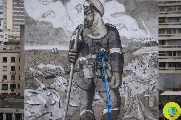 Arte das cinzas da Amazônia, o mural resiliente feito com árvores queimadas nas queimadas da floresta brasileira