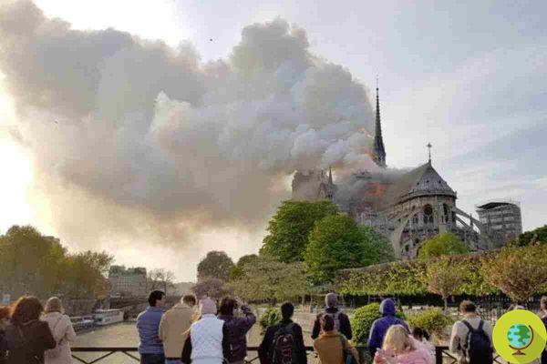 Incendio de Notre-Dame: trabajadores reconocen que fumaron en obra