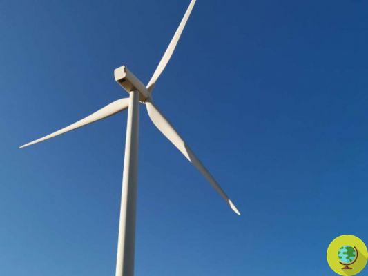 Énergie éolienne : un parc en Molise pour repeupler la ville d'Ururi