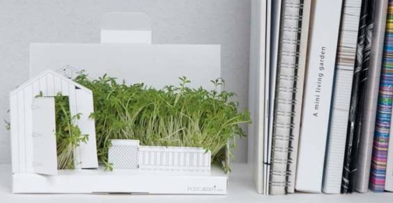 9 biodegradable eco-products all to be grown