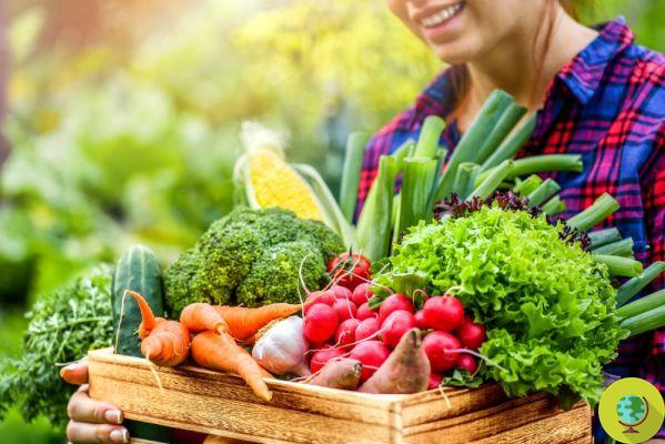 5 maneras de almacenar mejor frutas y verduras