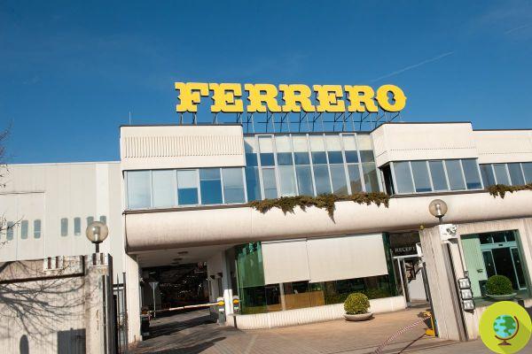 Mais de dois mil euros em bônus em contracheques em outubro: é assim que a Ferrero recompensa os funcionários pelo esforço feito durante a pandemia