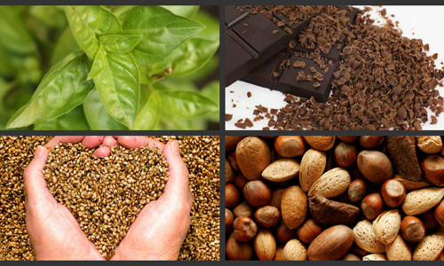 Magnesio: las 10 mejores fuentes vegetales