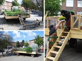 Os 5 melhores projetos de jardim móvel 'take-away'