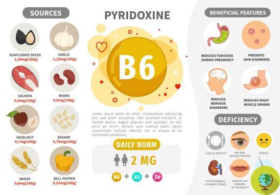 Vitamin B6: benefits, sources and how to take it