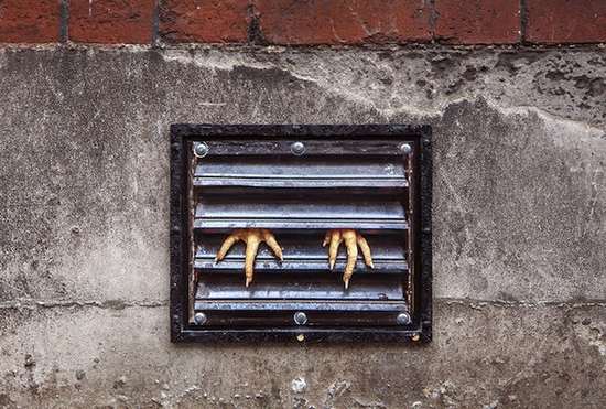 Empty The Cages: Dan Witz's street art in London to denounce the conditions of animals on farms