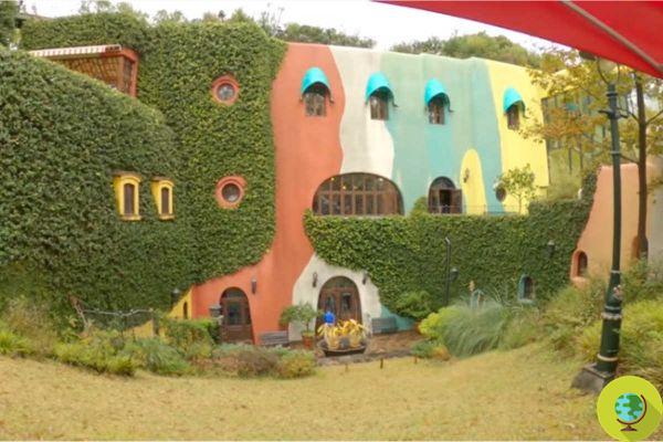 Ready to meet Totoro? The Ghibli Museum in Japan opens its doors with virtual tours