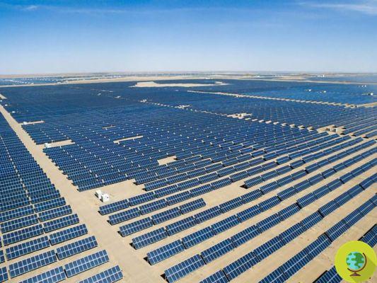 Arabia Saudita planea convertirse en un país 100% renovable