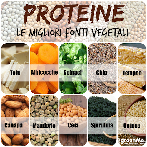 Les 10 meilleures sources de protéines végétales