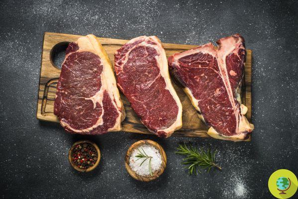 Carne vermelha: dobra o risco de ataques cardíacos, diabetes e câncer