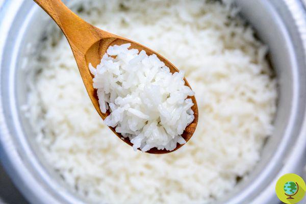 Com esses truques rápidos e fáceis, você cozinhará arroz perfeitamente