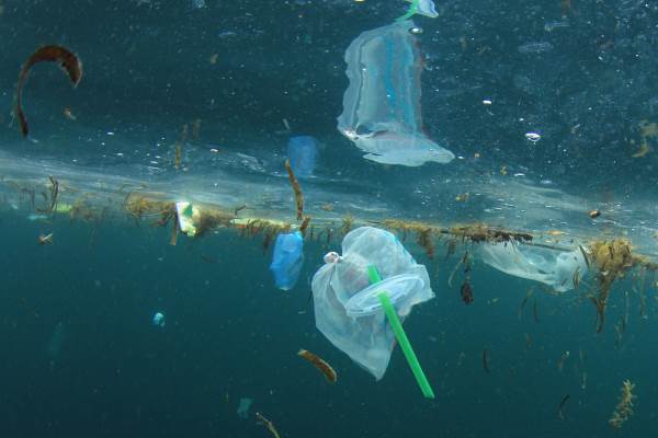 Pajitas de plástico: 5 buenas razones para no volver a usarlas