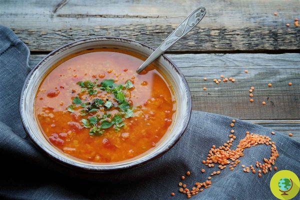 Purifying soup of red lentils, turmeric and ginger