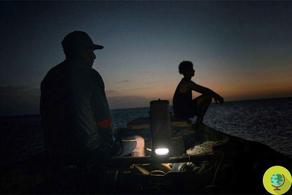 Electricity from sea water: with only half a liter, this lamp offers 45 days of free light to poor families in Colombia