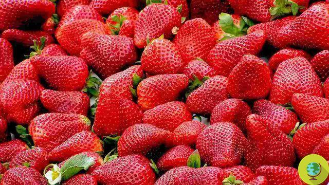 You are probably not washing strawberries properly