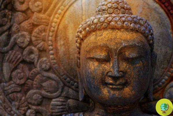 Do nothing when you don't know what to do. The Buddhist tale you need to read today